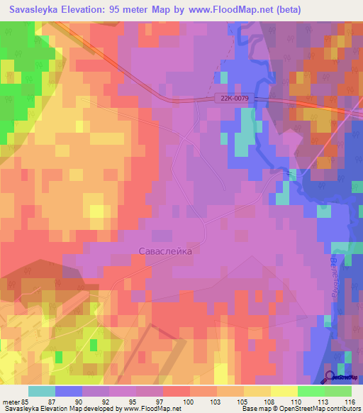 Savasleyka,Russia Elevation Map