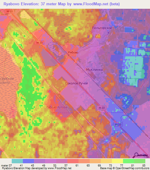 Ryabovo,Russia Elevation Map