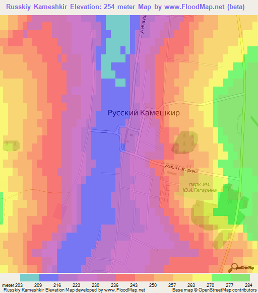 Russkiy Kameshkir,Russia Elevation Map