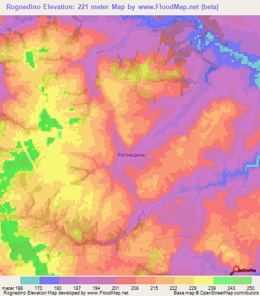 Rognedino,Russia Elevation Map