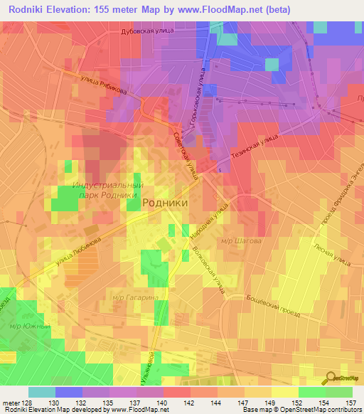 Rodniki,Russia Elevation Map