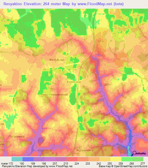 Revyakino,Russia Elevation Map