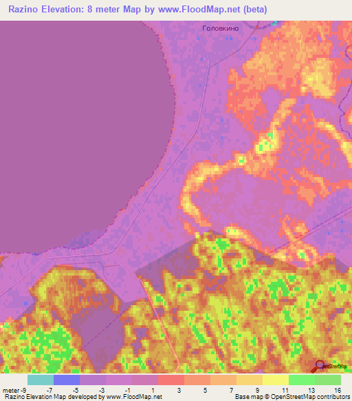 Razino,Russia Elevation Map