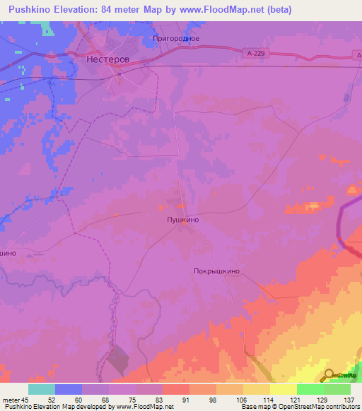 Pushkino,Russia Elevation Map