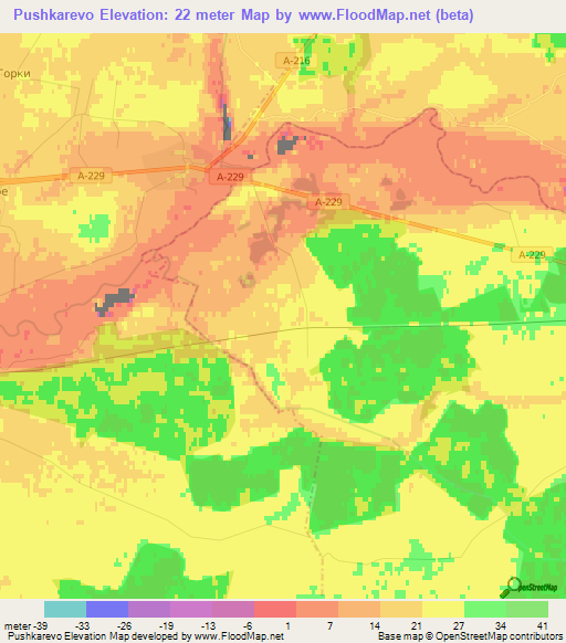 Pushkarevo,Russia Elevation Map