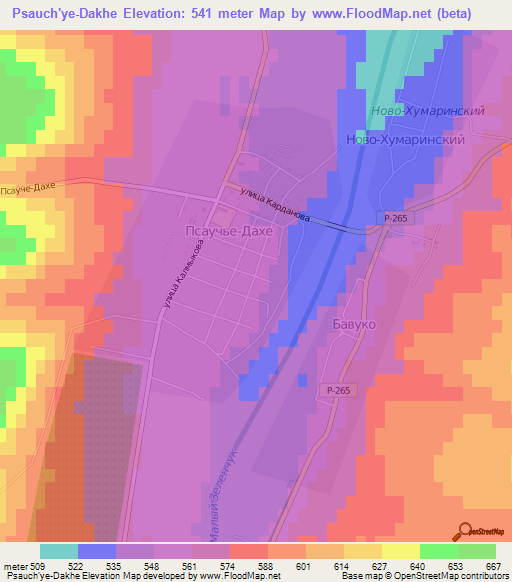 Psauch'ye-Dakhe,Russia Elevation Map
