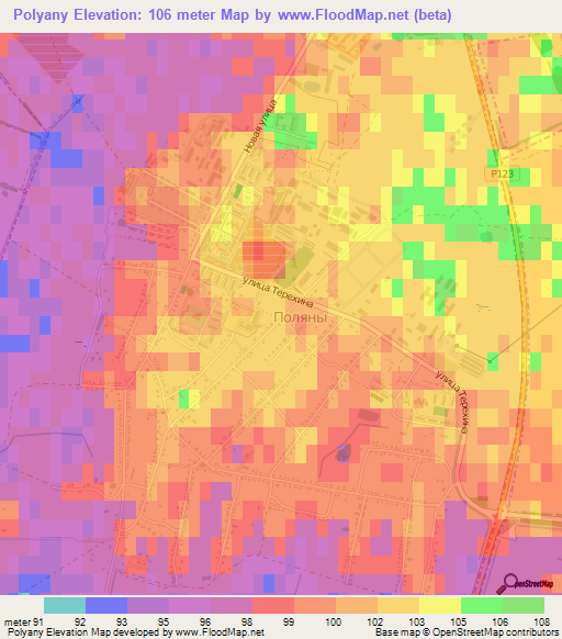 Polyany,Russia Elevation Map