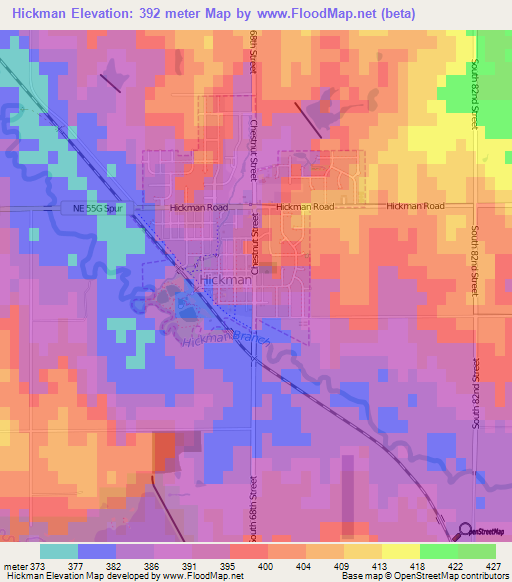 Hickman,US Elevation Map