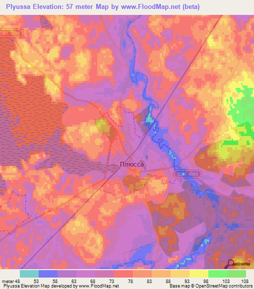 Plyussa,Russia Elevation Map