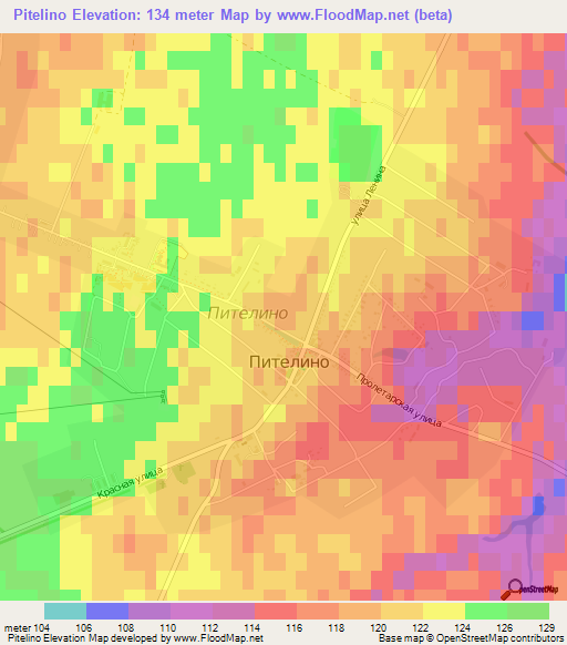 Pitelino,Russia Elevation Map