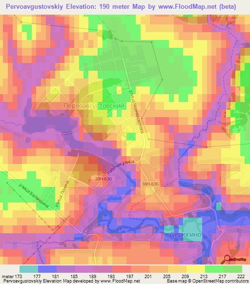 Pervoavgustovskiy,Russia Elevation Map