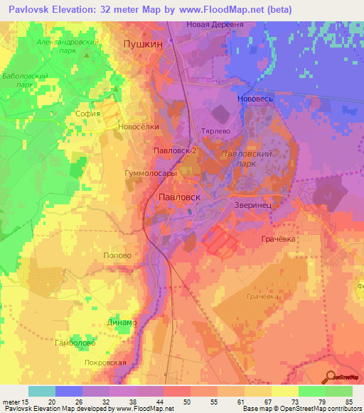 Pavlovsk,Russia Elevation Map