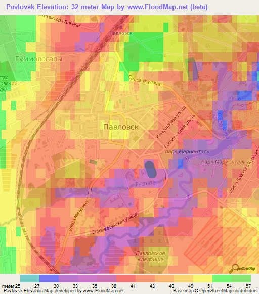 Pavlovsk,Russia Elevation Map