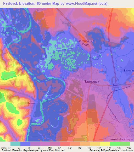 Pavlovsk,Russia Elevation Map