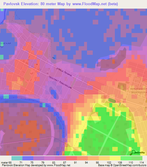 Pavlovsk,Russia Elevation Map