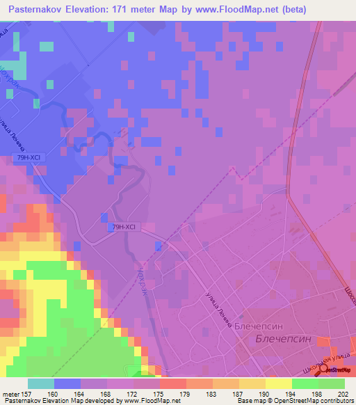 Pasternakov,Russia Elevation Map