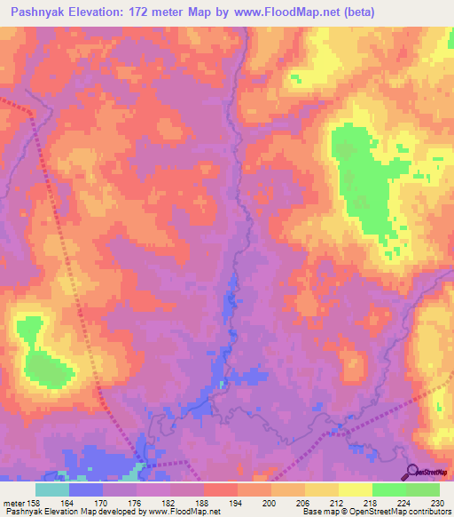 Pashnyak,Russia Elevation Map