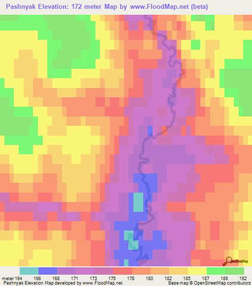 Pashnyak,Russia Elevation Map