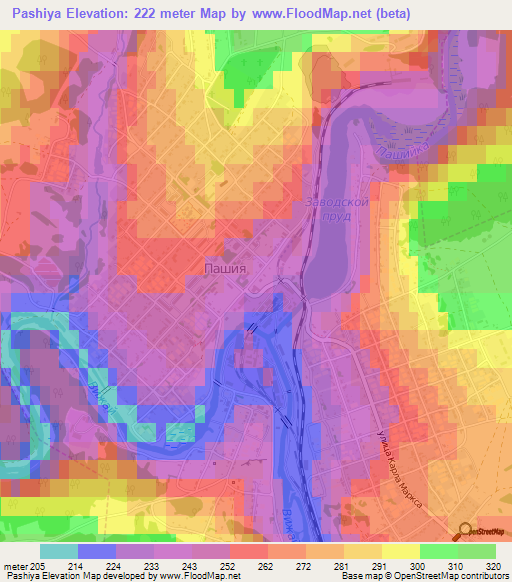 Pashiya,Russia Elevation Map