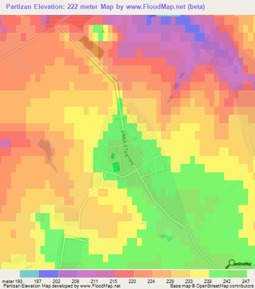 Partizan,Russia Elevation Map