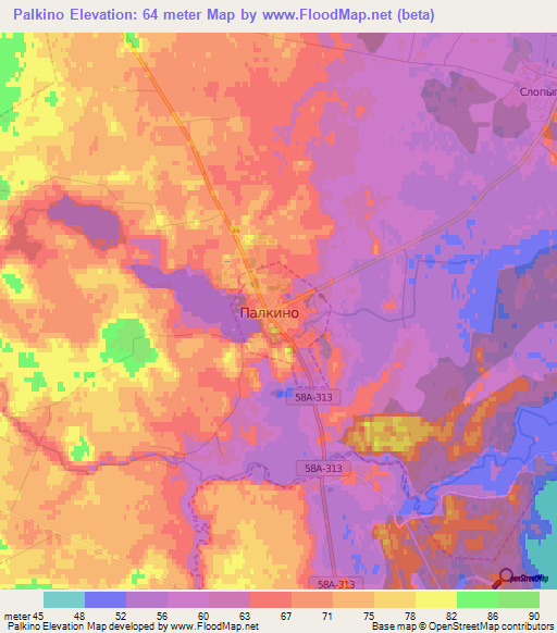 Palkino,Russia Elevation Map