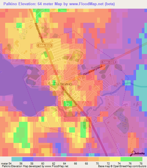 Palkino,Russia Elevation Map