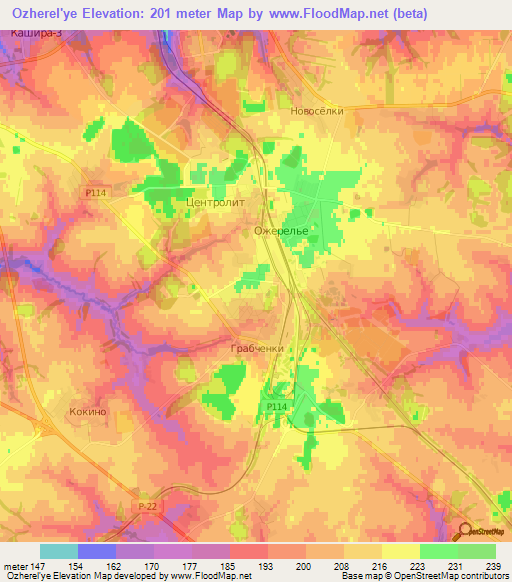 Ozherel'ye,Russia Elevation Map