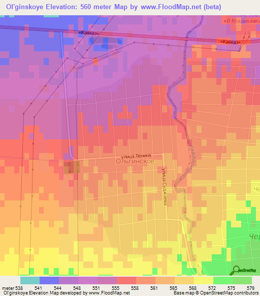 Ol'ginskoye,Russia Elevation Map