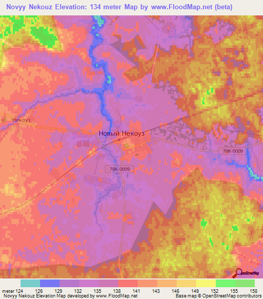 Novyy Nekouz,Russia Elevation Map