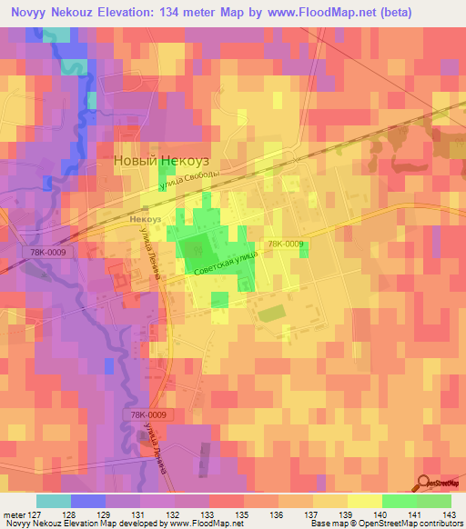 Novyy Nekouz,Russia Elevation Map