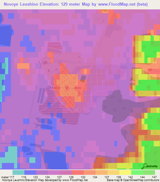 Novoye Leushino,Russia Elevation Map