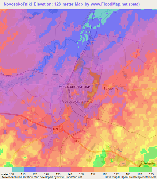 Novosokol'niki,Russia Elevation Map