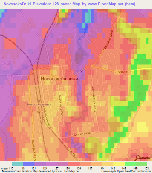 Novosokol'niki,Russia Elevation Map