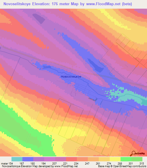 Novoselitskoye,Russia Elevation Map