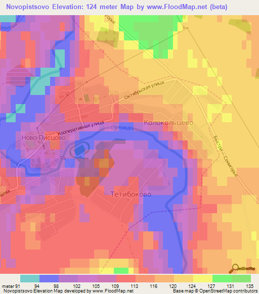 Novopistsovo,Russia Elevation Map