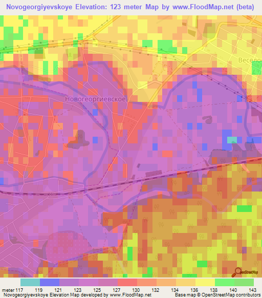 Novogeorgiyevskoye,Russia Elevation Map