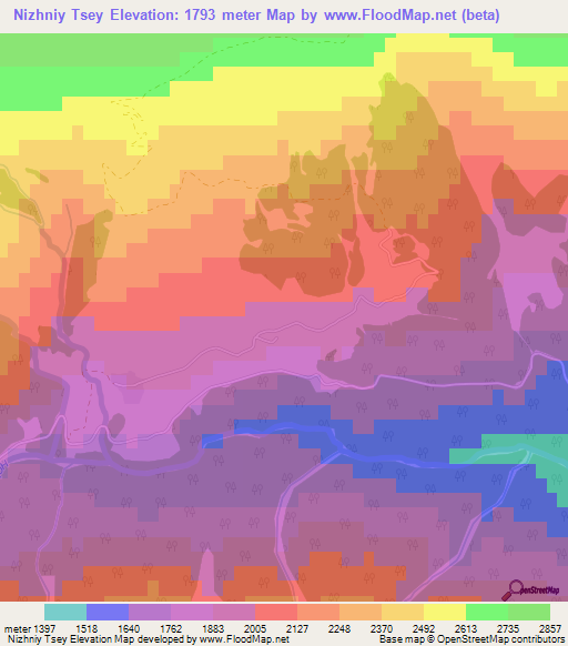 Nizhniy Tsey,Russia Elevation Map