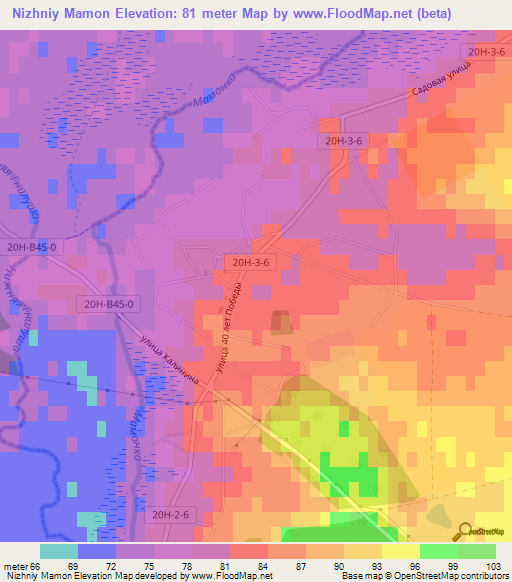 Nizhniy Mamon,Russia Elevation Map