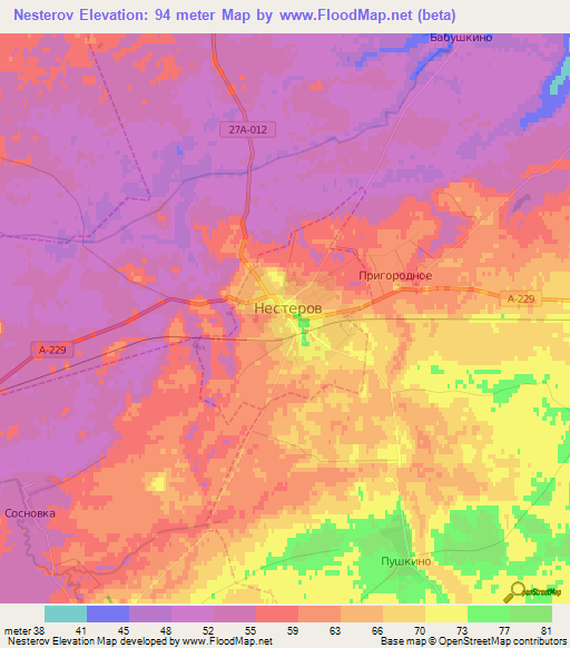 Nesterov,Russia Elevation Map