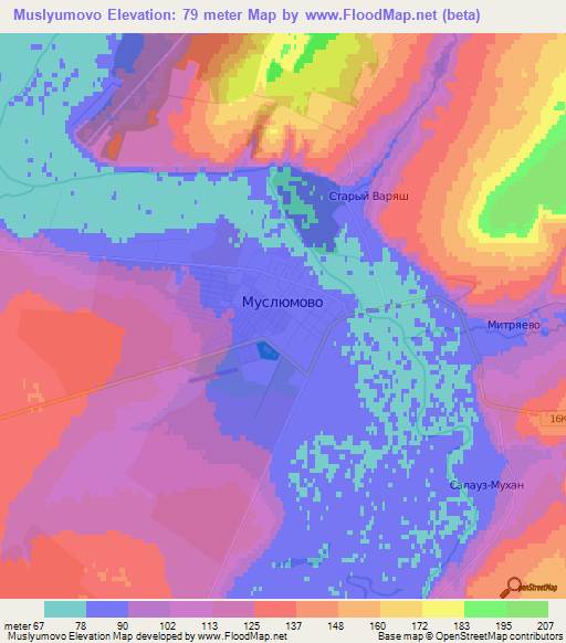 Muslyumovo,Russia Elevation Map