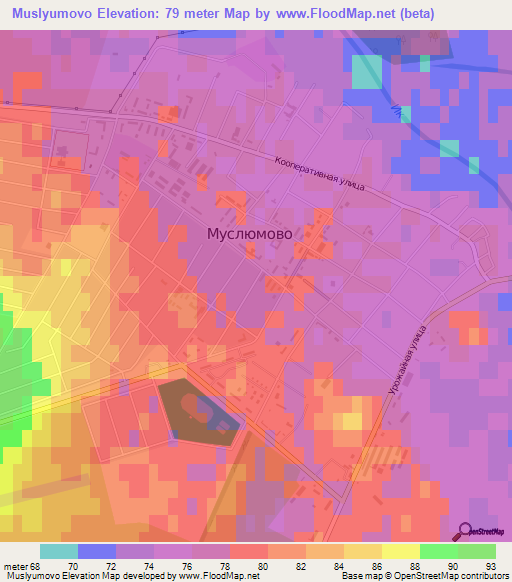 Muslyumovo,Russia Elevation Map