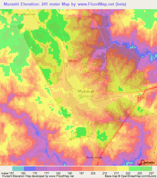 Murashi,Russia Elevation Map