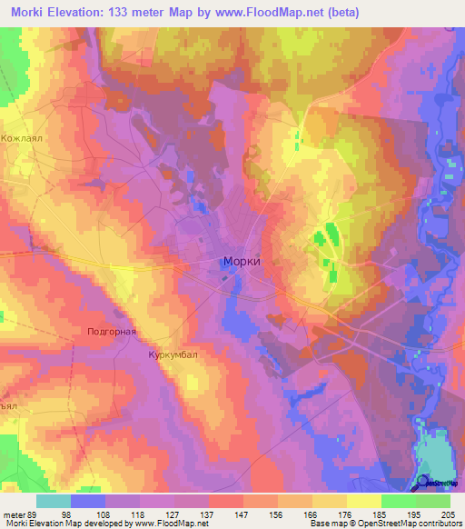 Morki,Russia Elevation Map