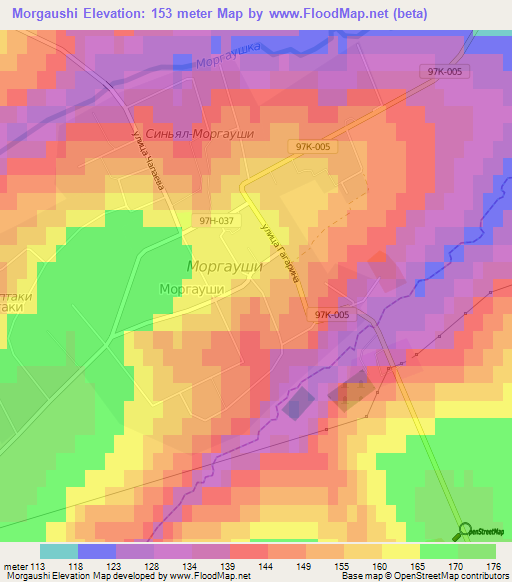 Morgaushi,Russia Elevation Map