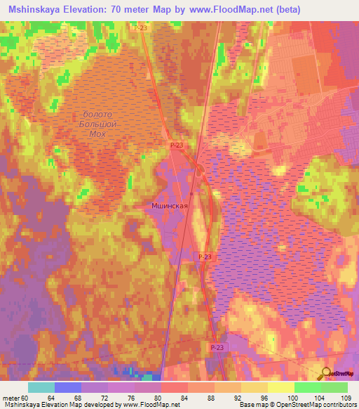 Mshinskaya,Russia Elevation Map