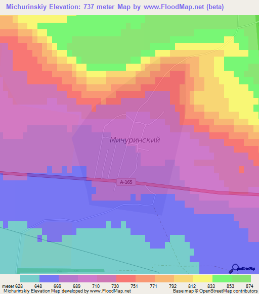 Michurinskiy,Russia Elevation Map