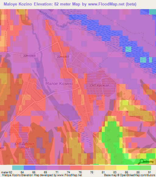 Maloye Kozino,Russia Elevation Map