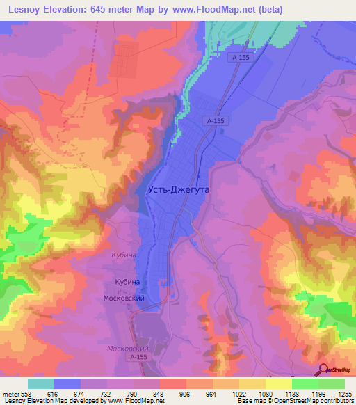 Lesnoy,Russia Elevation Map