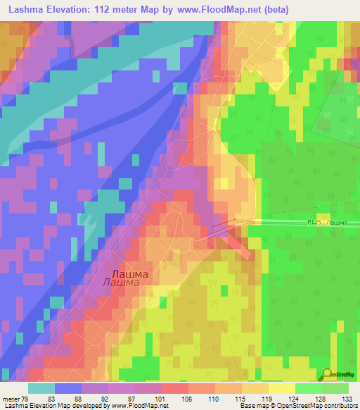 Lashma,Russia Elevation Map