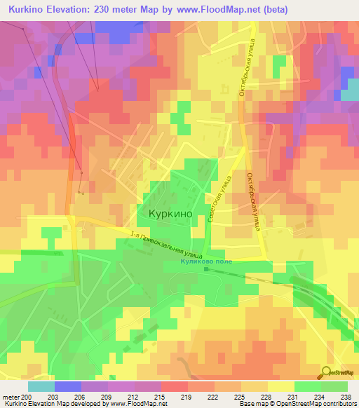 Kurkino,Russia Elevation Map